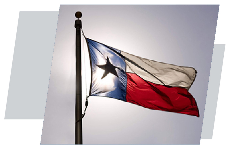 History and Vision Flag Combo