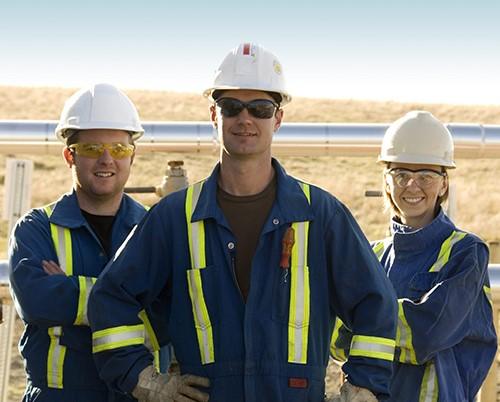 dividends-combo-txmstories-combo